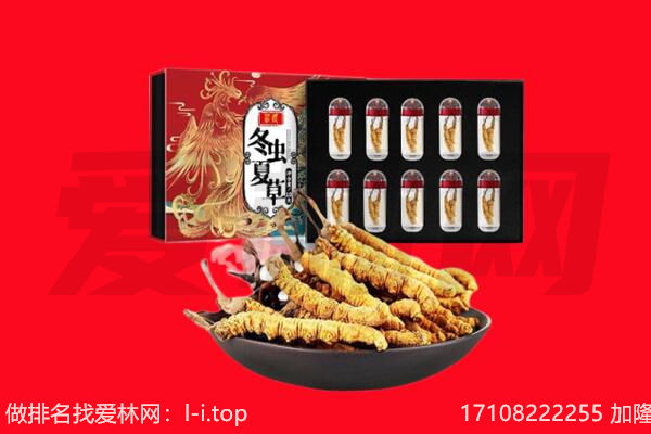 铜陵市回收虫草.jpg